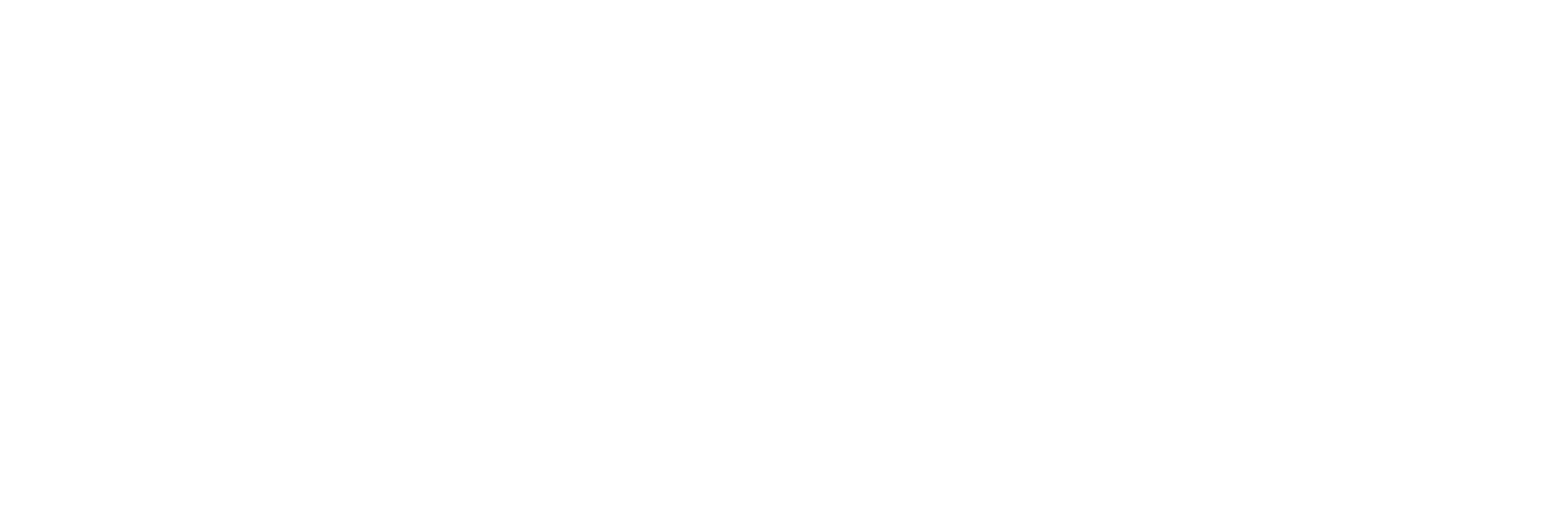 CDCPM Logo White (1)